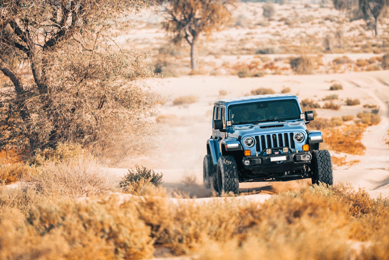 jeep_wrangler_desert_fox_392