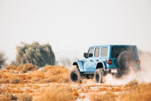 jeep_wrangler_desert_fox_392