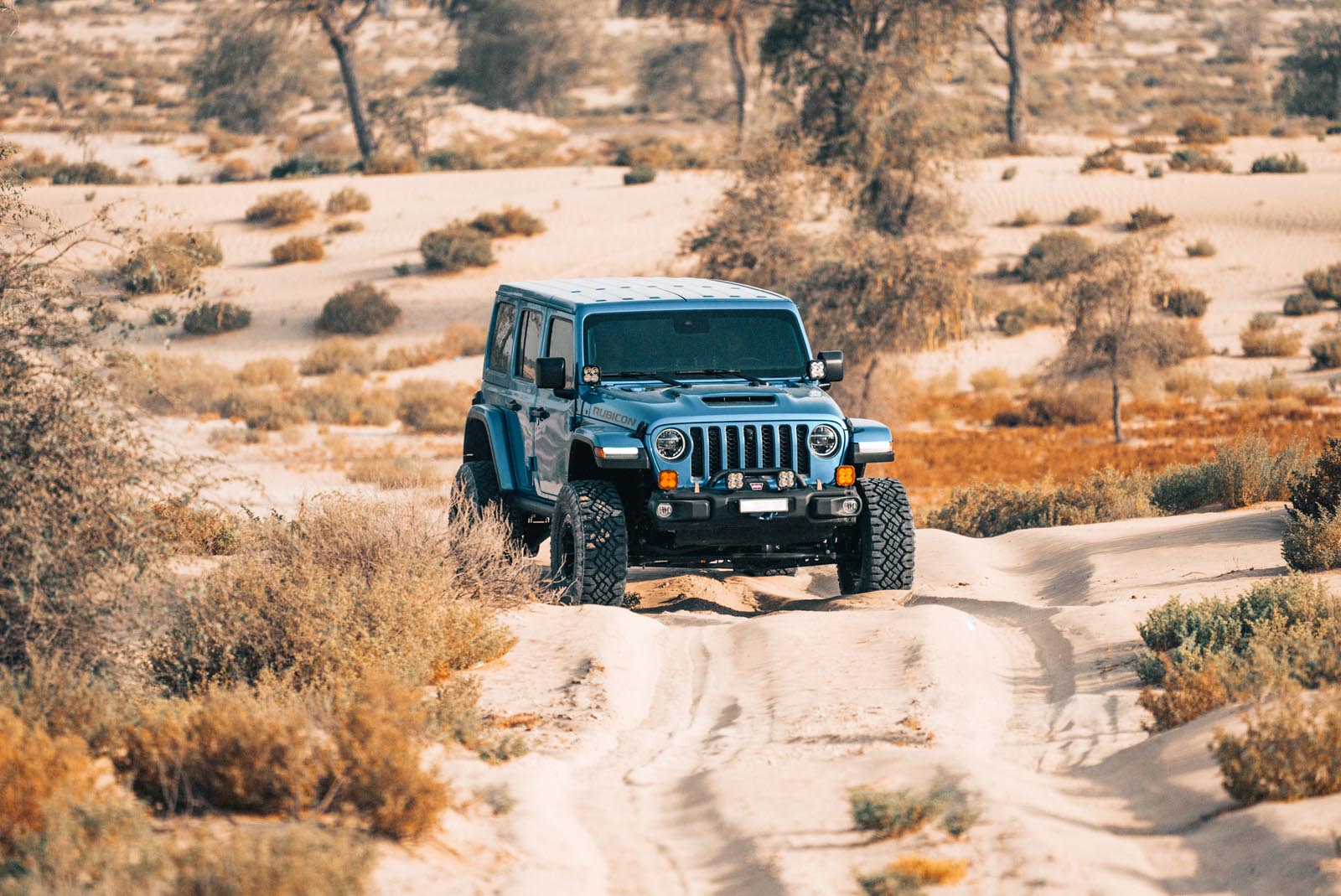 jeep_wrangler_desert_fox_392